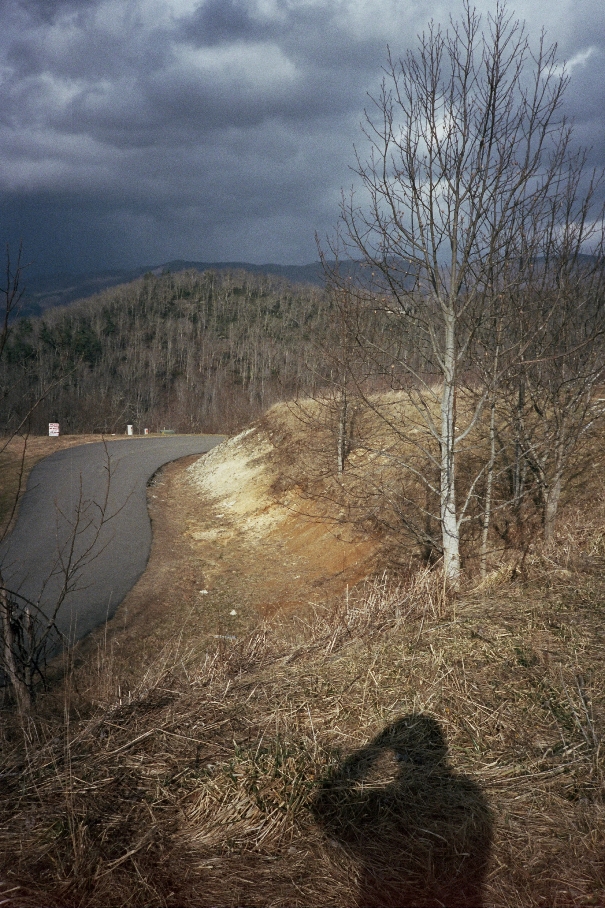 nc