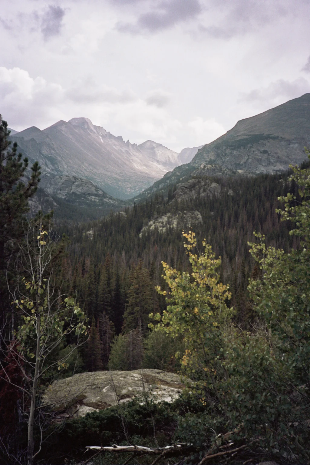 rocky mtn ntl park