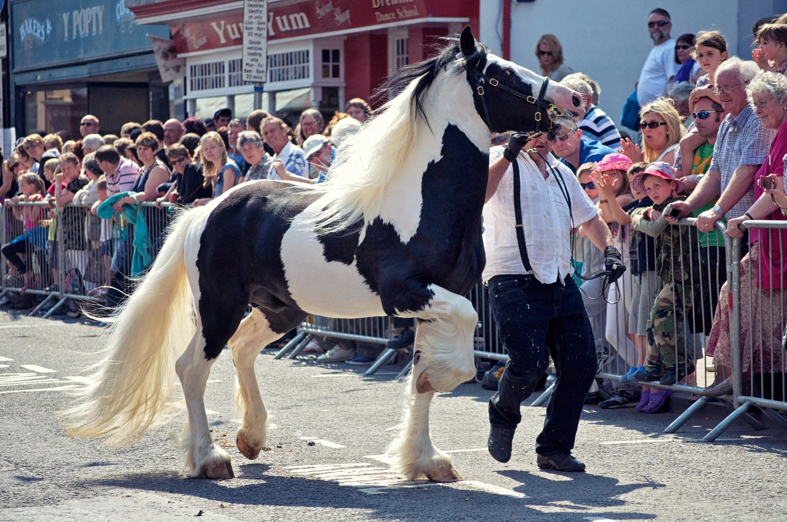 DSC_0241.jpg