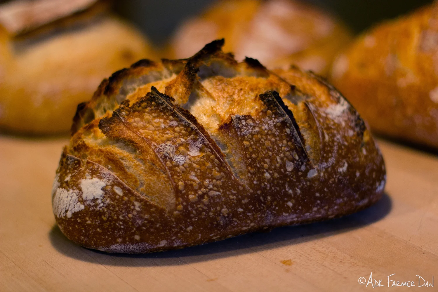 Building a Brand Community is like developing a Sourdough Culture