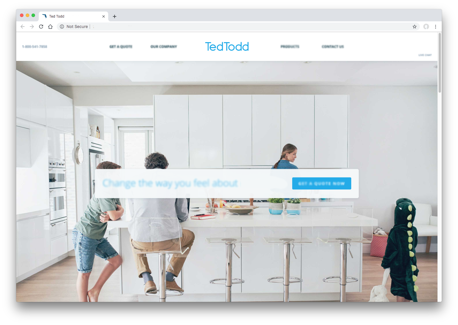 election-website-example.png