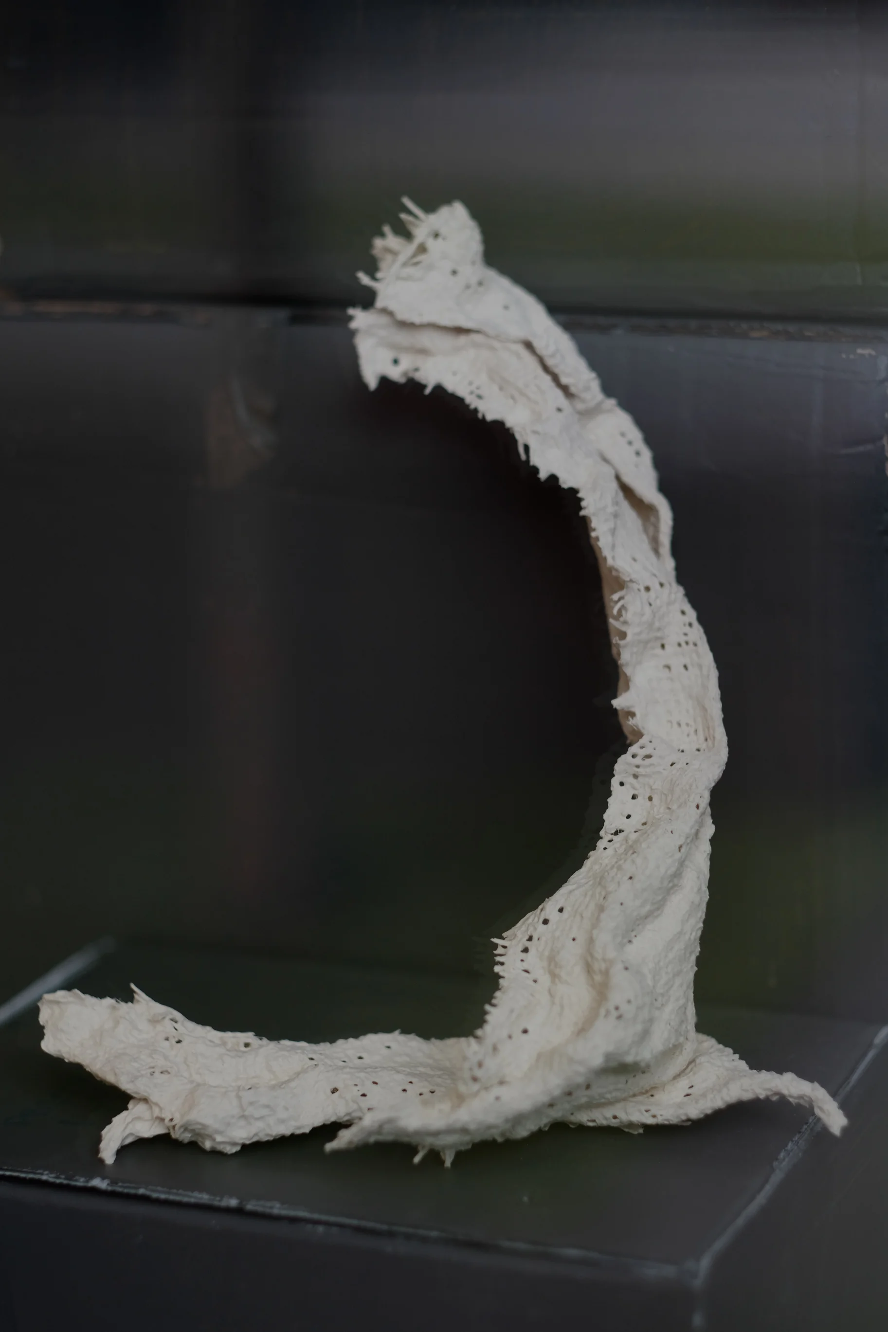 DSCF1073.jpg