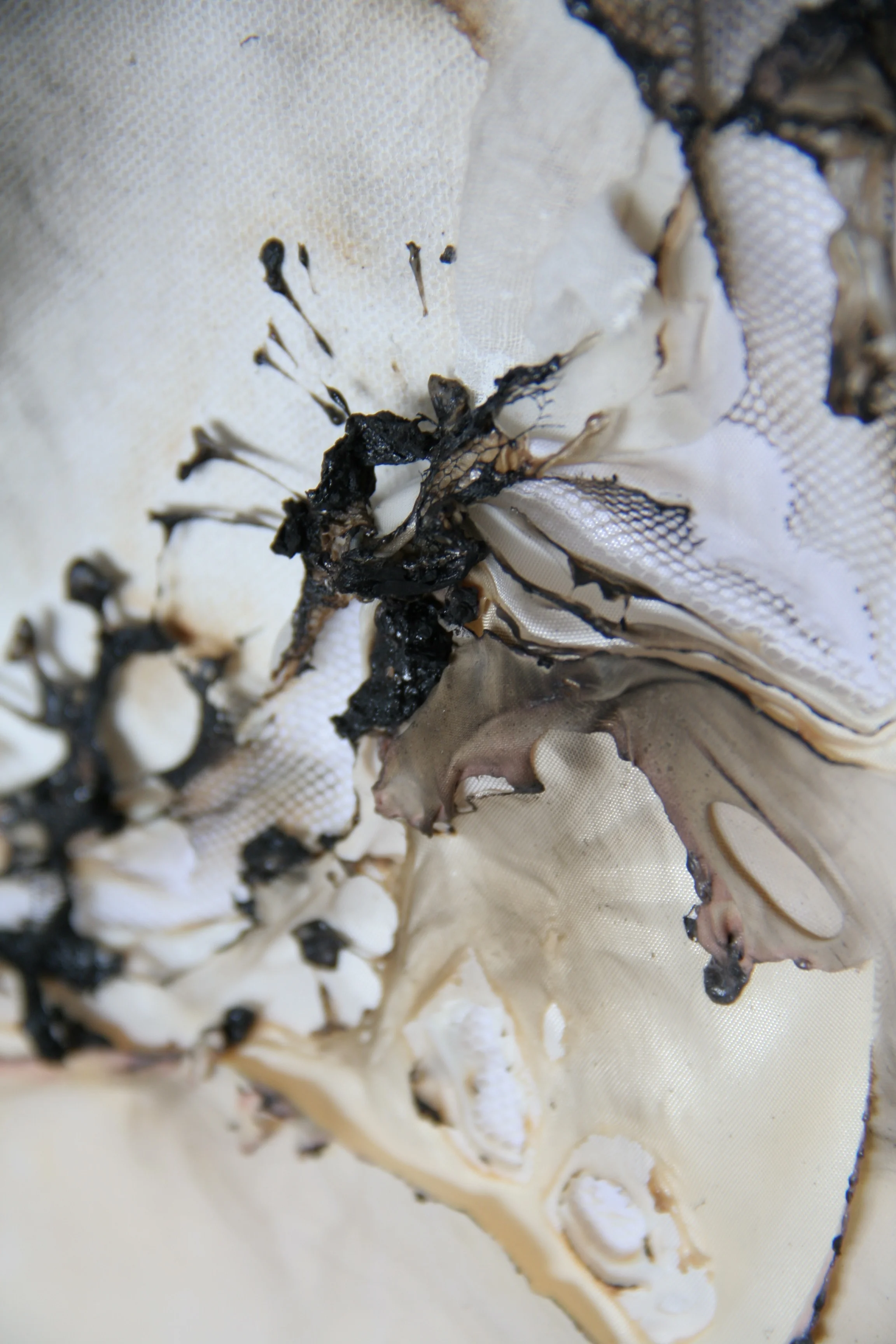 Fragmentation (detail)