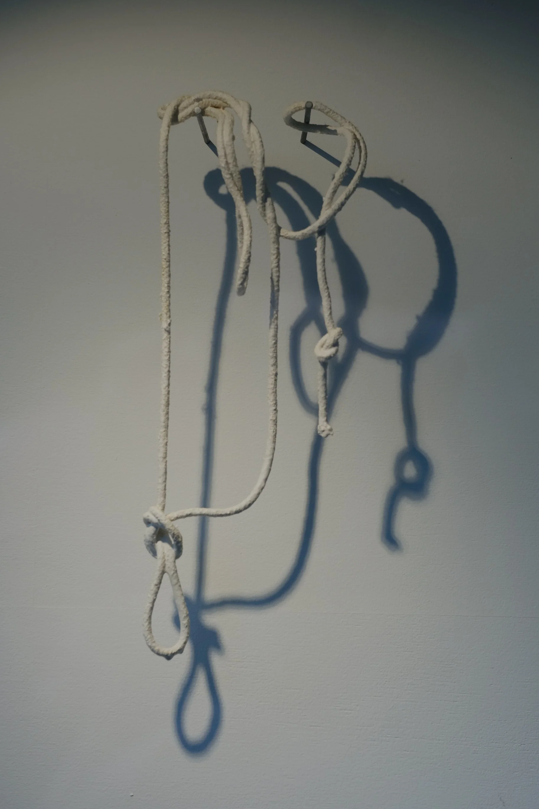 DSCF1055.jpg