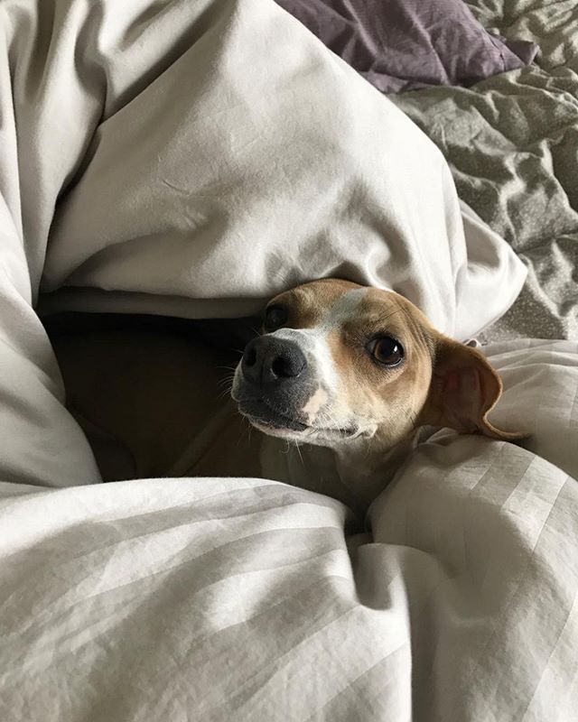 Cuteness