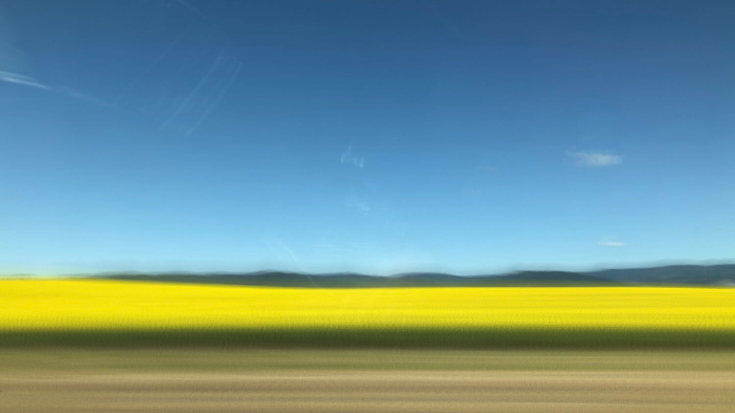 dorn_canola_whitefish-MT_sm.jpg