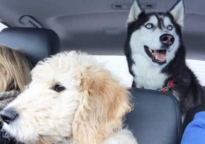 8 Things To Copycat To Improve Your Daily Commute 