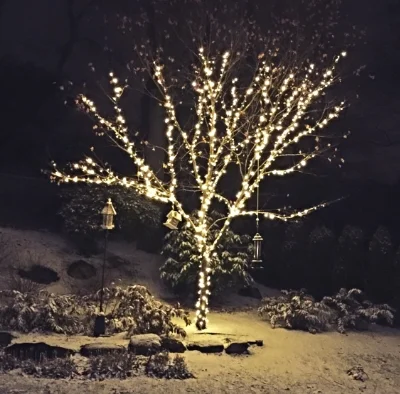 The Holiday Guide To Frenemies, Couch Hoppers, And Lovers