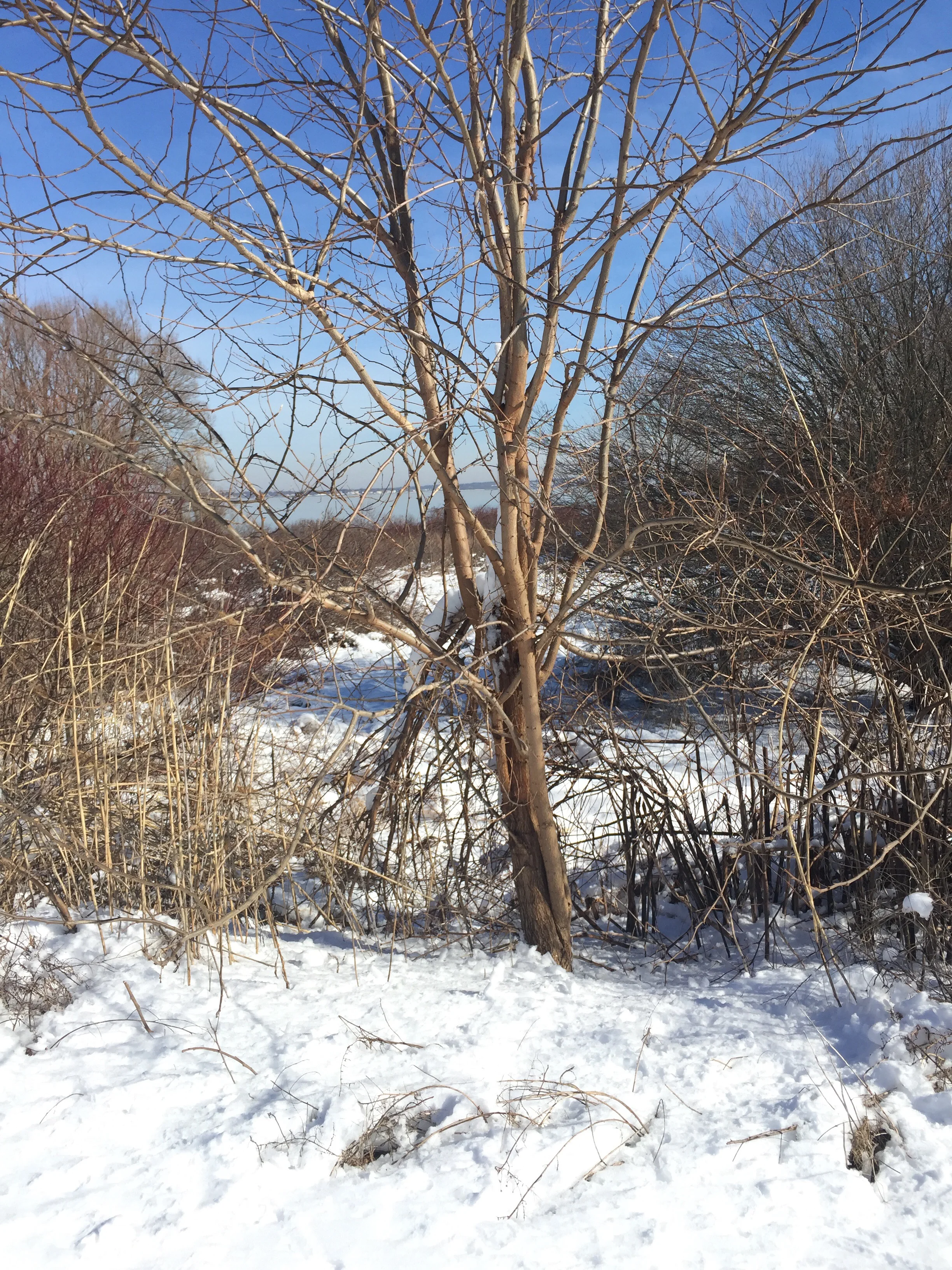 vsco-photo-3.jpg