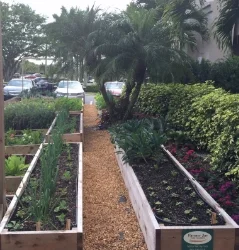 When In Florida: Farmer's Table Boca