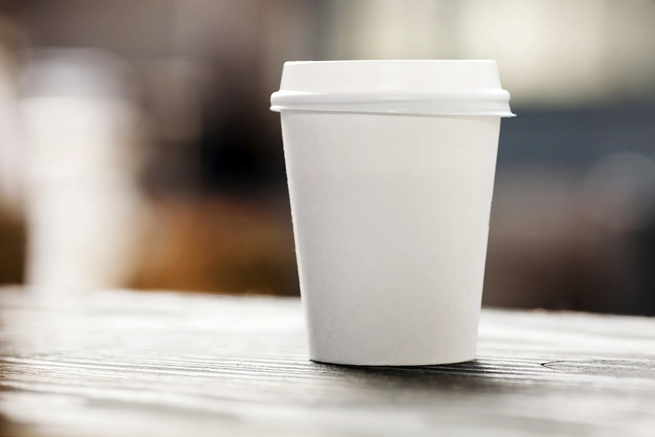 Mimosas, Moose &amp; Coffee Mania: Tiverton's Coastal Roasters 