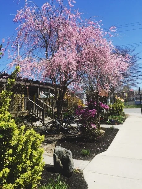 Destination RI: 4 More Things To Do In Jamestown 