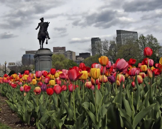 Bye Felicia: 4 Shortcuts For A Drama Free Daycation To Boston
