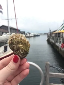 Destination RI: The Newport Oyster Festival