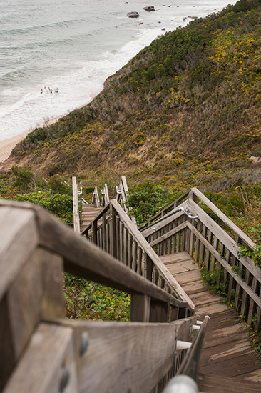 BlockIsland_PattyJ_2016_staceydoyle-52.jpg