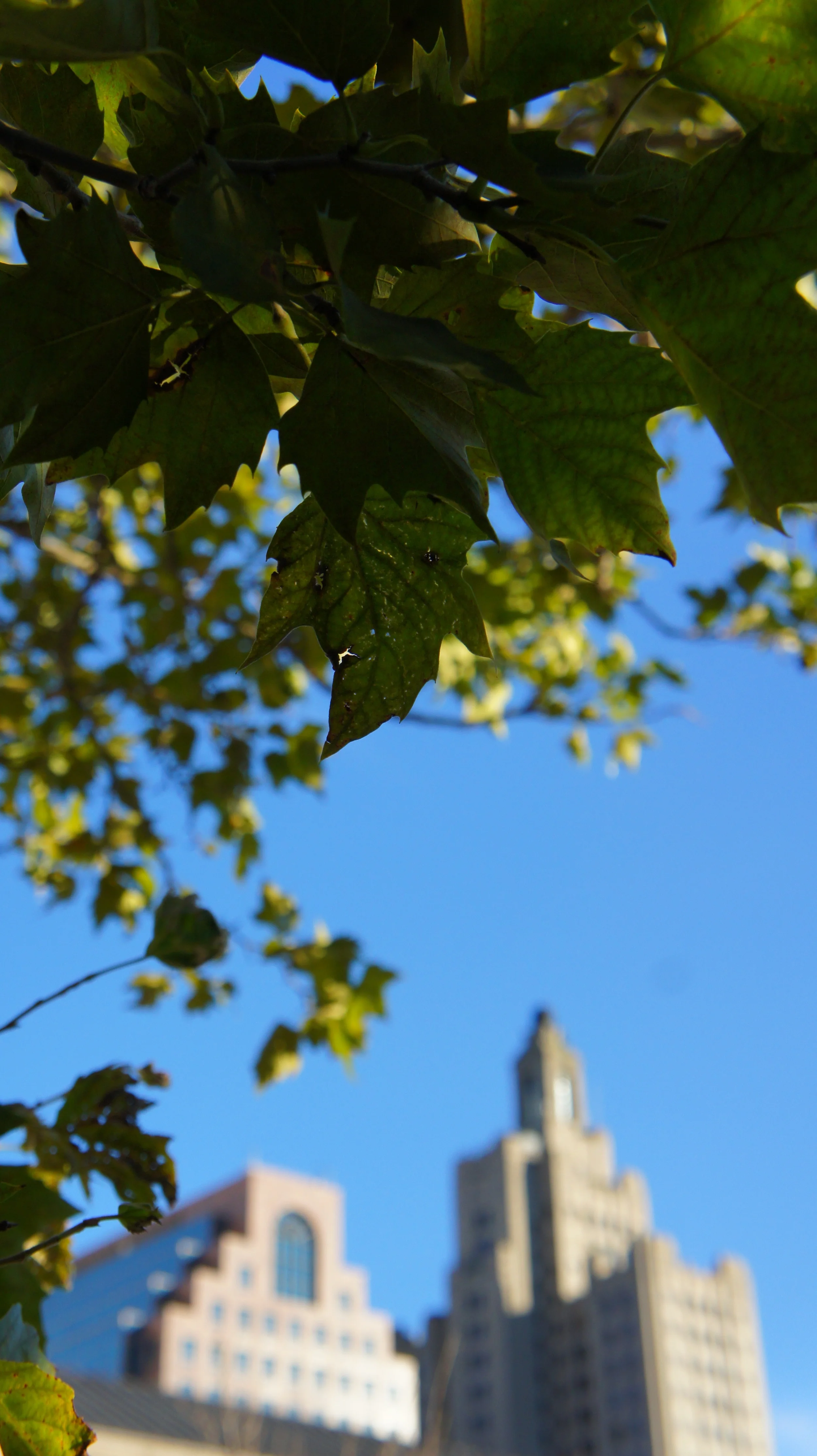 5 Ways To Stress Less & Make Your Next Big Move A Success