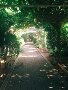 Dinner & A Wizard: Follow The Brick Road To Bistro & Theatre By The Sea