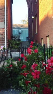 End Of Summer Dining & Lip Game: Spice It Up At Bacaro