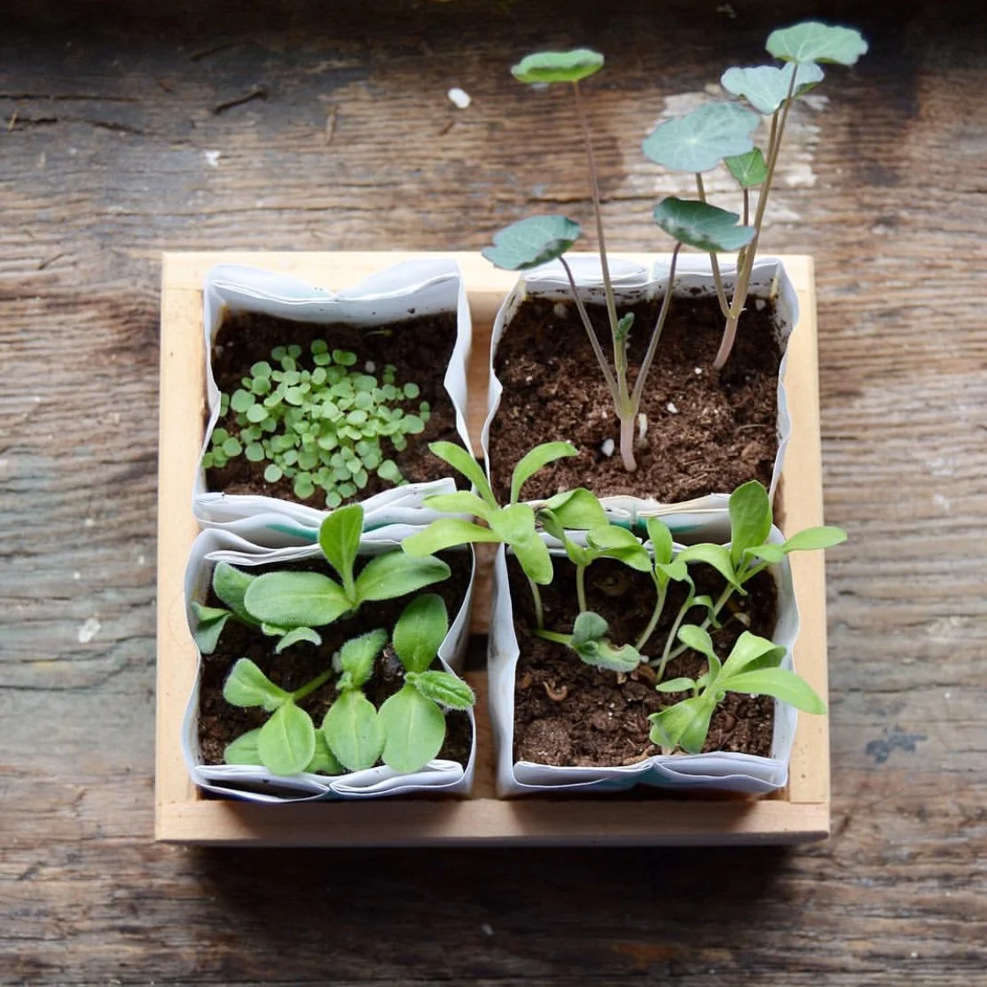 FullSizeRender 2.jpg