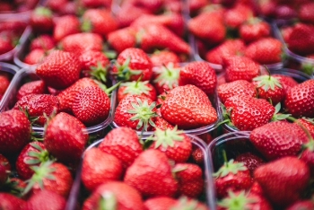 5 Things To Know Before You Go Strawberry Picking