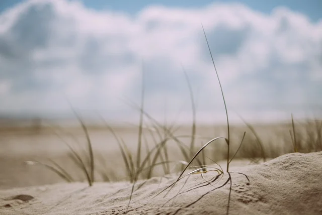 One Of The Prettiest Beaches In The OS You're Probably Missing Out On