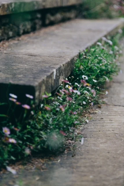 Crazy, Cool Stories About This Under The Radar Rhody Landmark