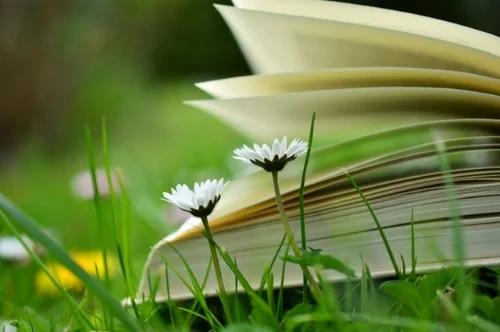 4 Books You Really Need To Read This Spring, According To This Rhody Native & Writer