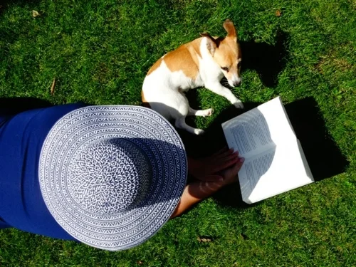 All The (Local) Things You'll Want If You're A Dog Mom In The OS