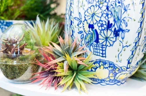 This Garden City Store Has Everything You'll Want For Turning Your Space Into A Resort Like Oasis