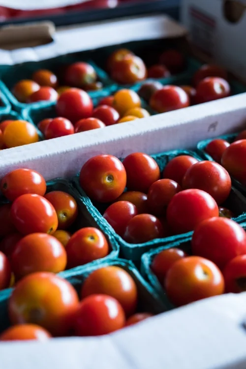 This Local Startup Wants To Bring Farm Fresh Food To Your Doorstep & Wow