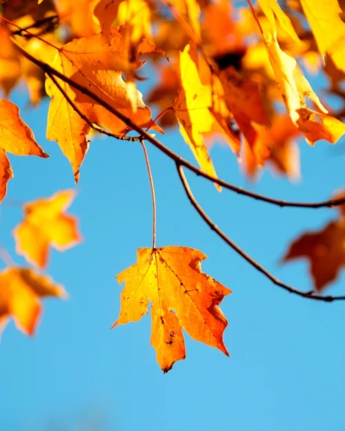 The Iconic PVD Address To Explore This Fall That Has Nothing To Do With Apple Picking Or PSL