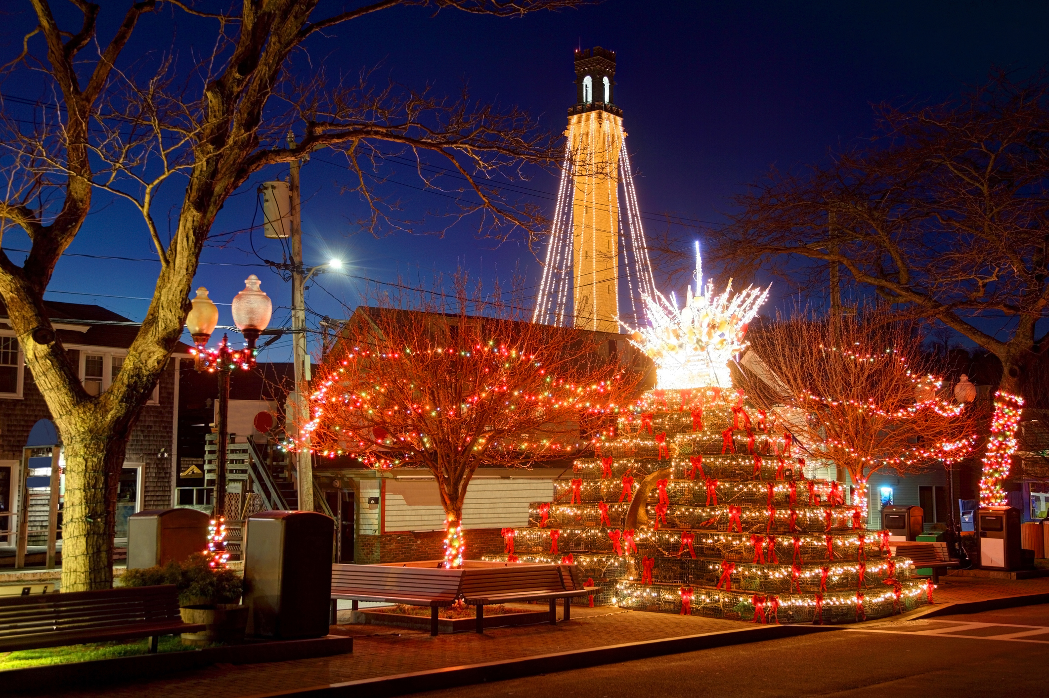 a lobster trap tree in Provincetown, MA