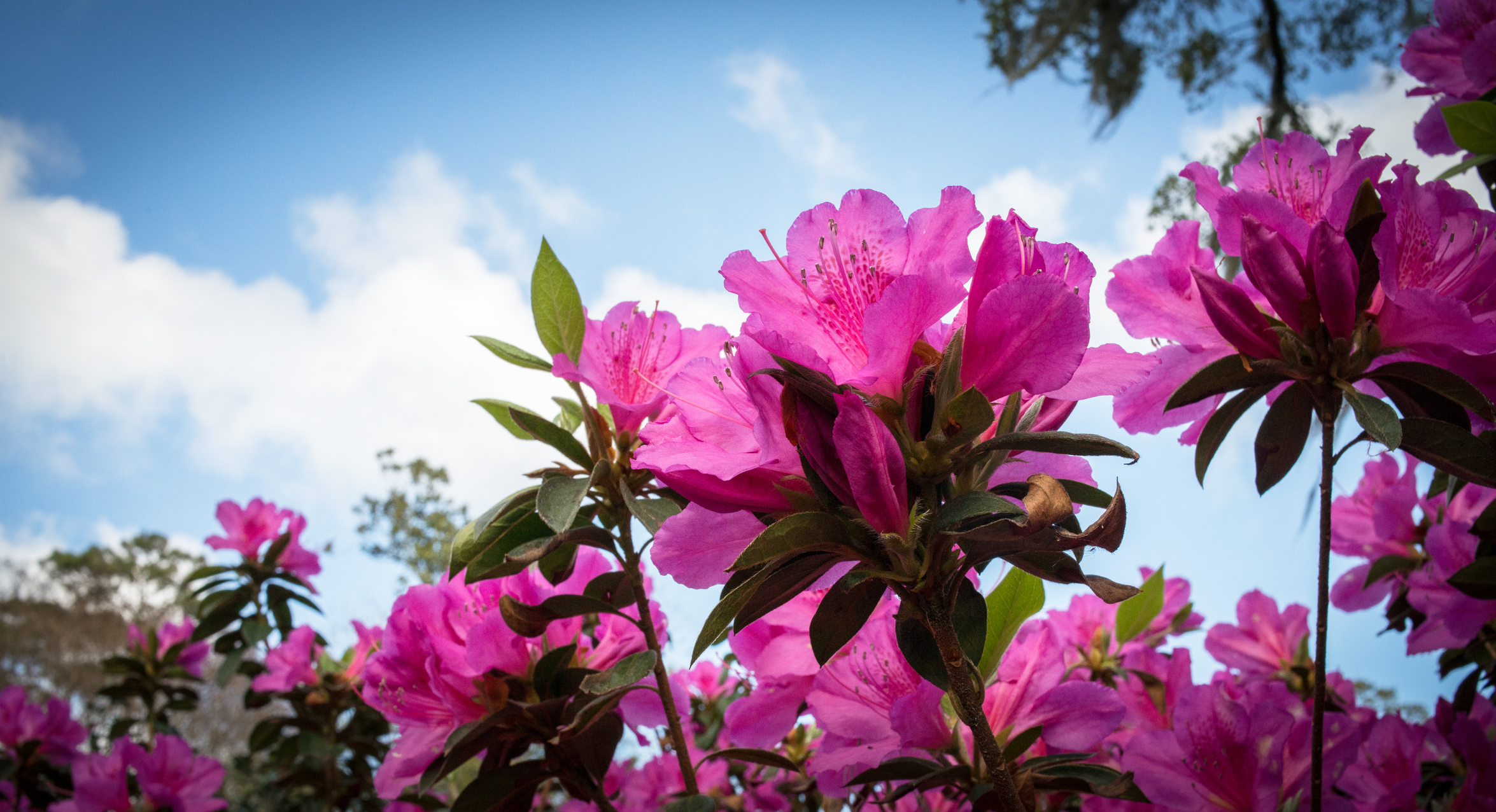 Photo by Darwin Brandis/iStock/Getty Images