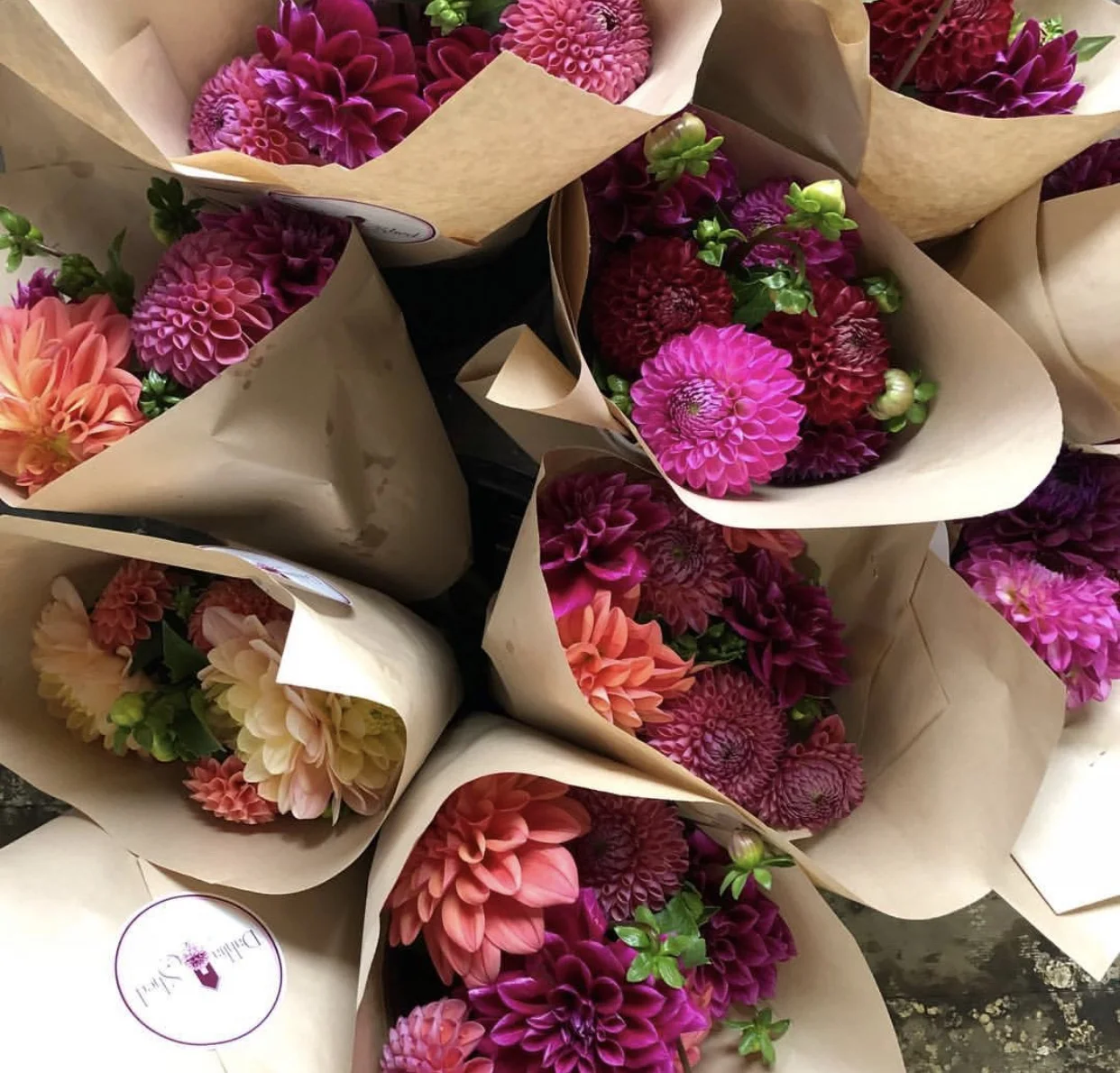 Photo Courtesy Of The “Dahlia Shed” Instagram