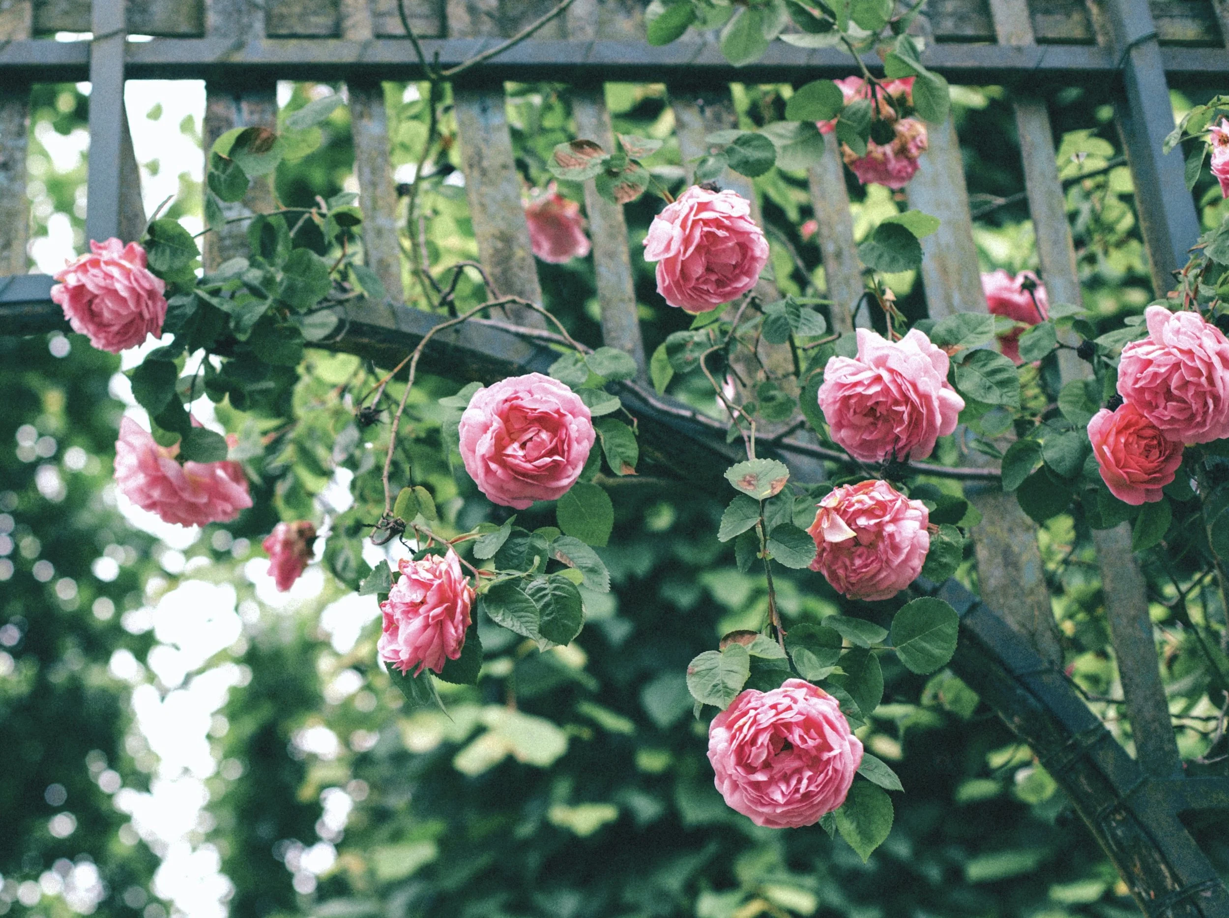 You &amp; Your Fave Jackie O Fan Can Tour The Scenic Estate &amp; Gardens Where She Made Her Debut 