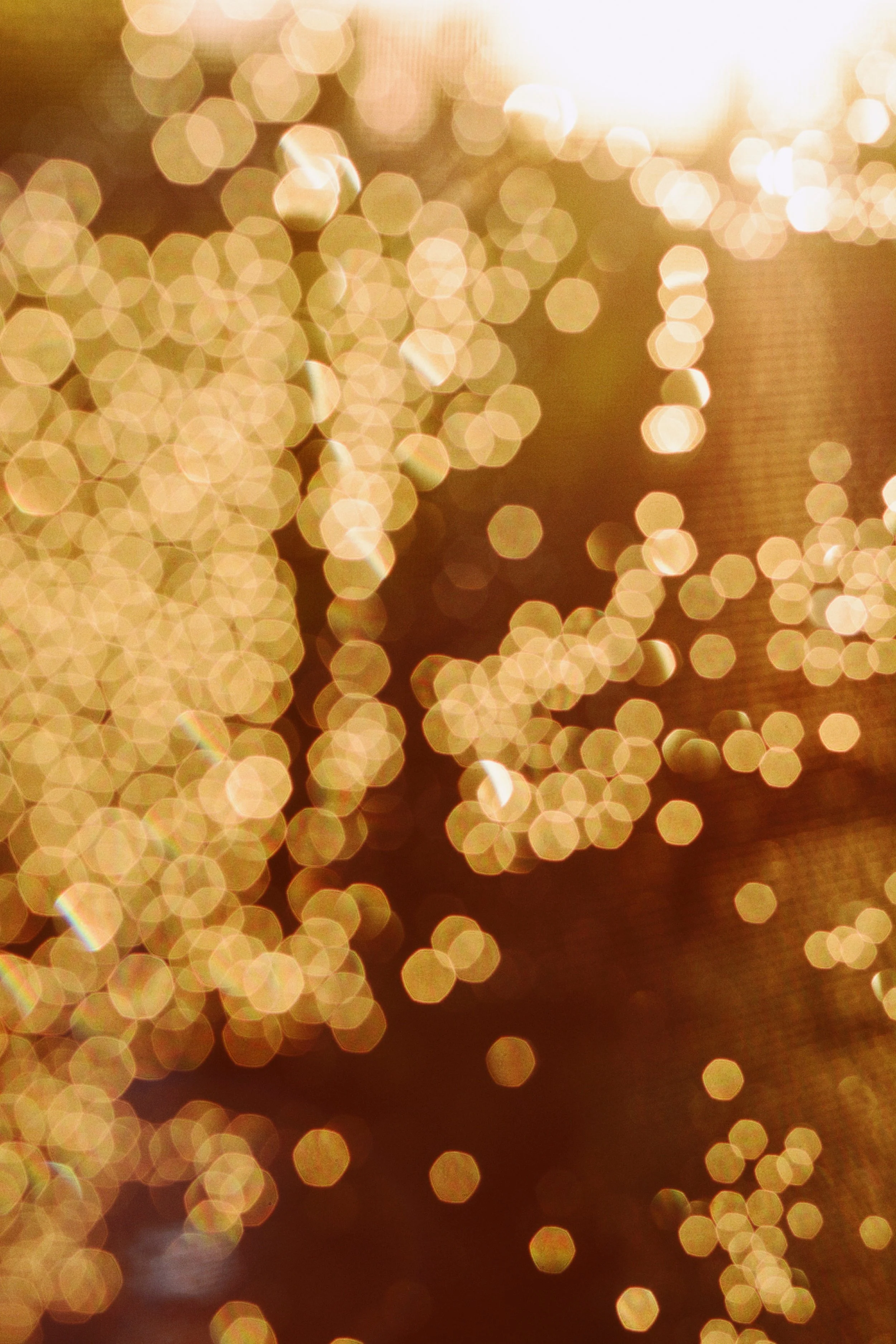 The New Spot In PVD That Pretty Much Everyone's Going To Be Posting About This Fall