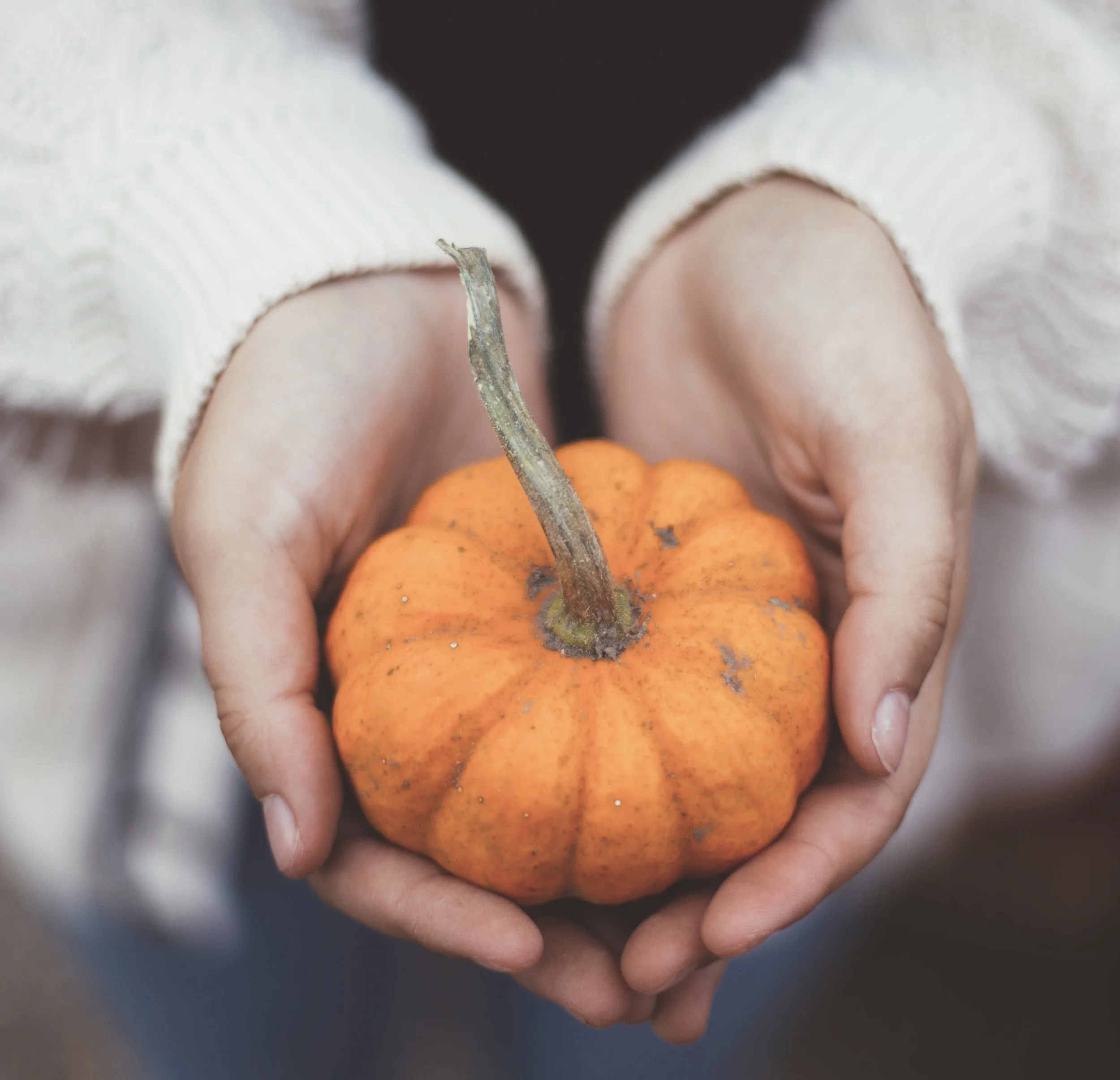 A Rhody Guy's Guide To Getting Into The ThanksGIVING Spirit 