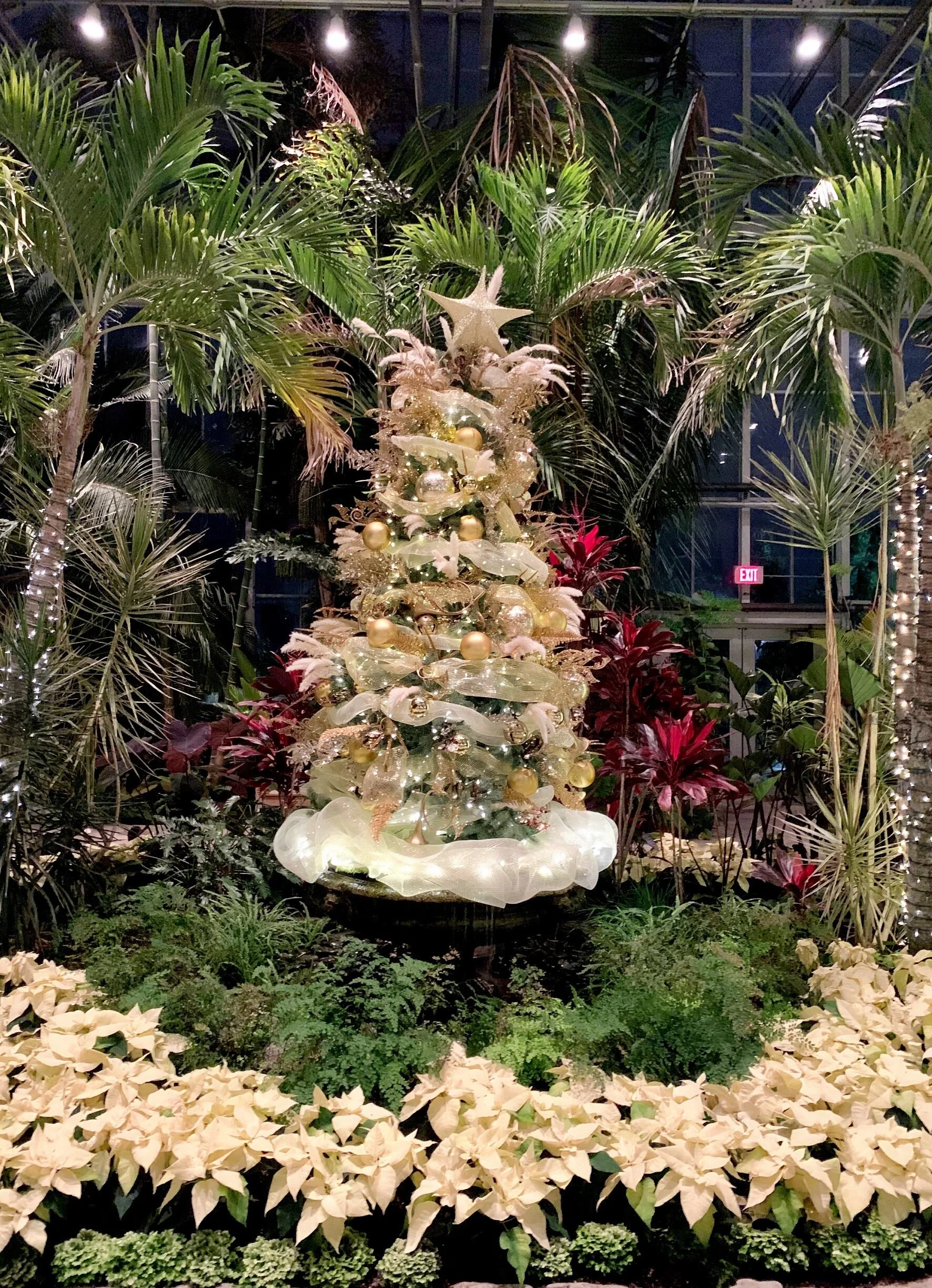 This Providence Spot Is A Charming Mix Of Tropical &amp; Merry 