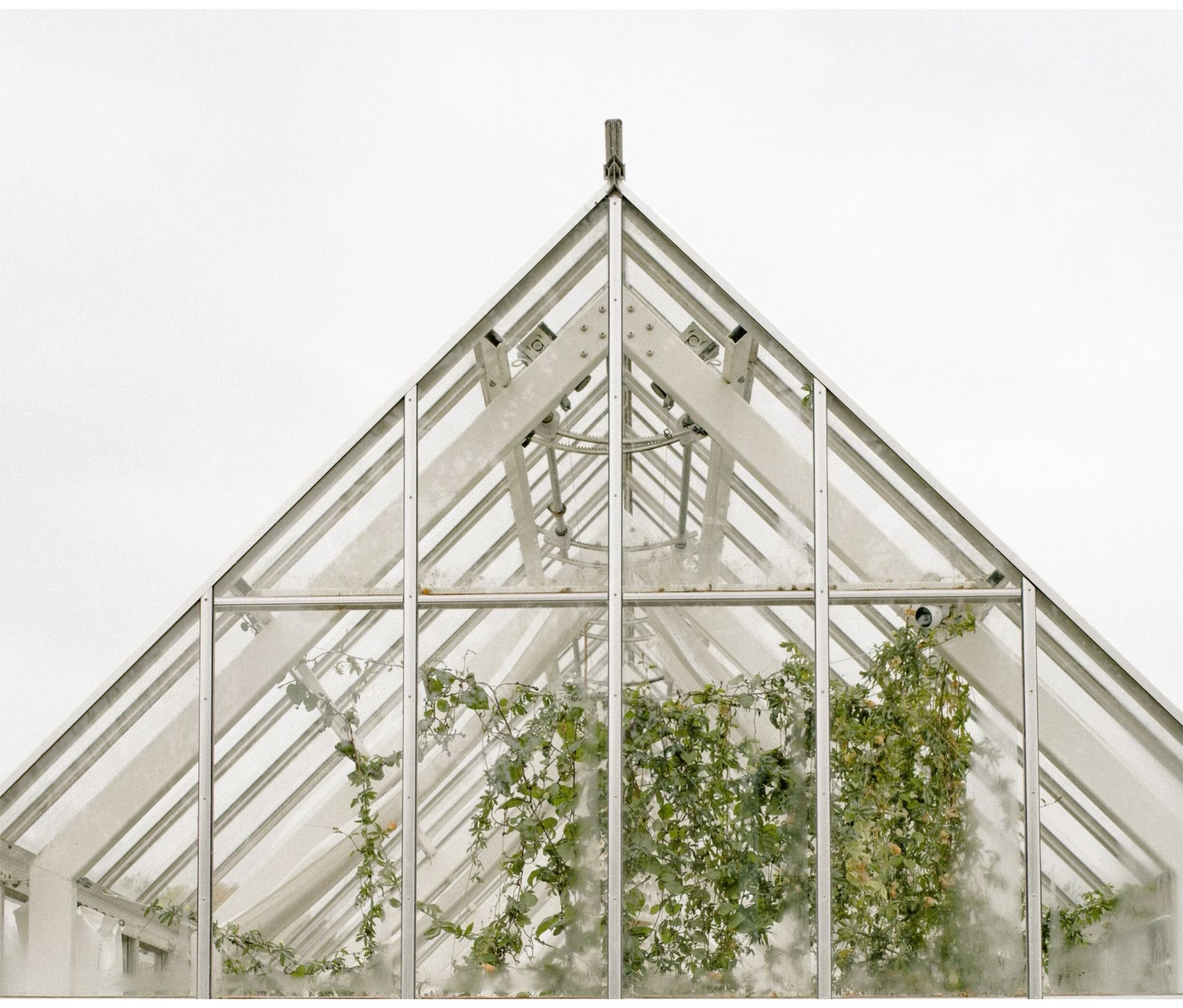 These Rhody Indoor Gardens &amp; Shops Are Serving A Taste Of Spring, &amp; We're So Ready 