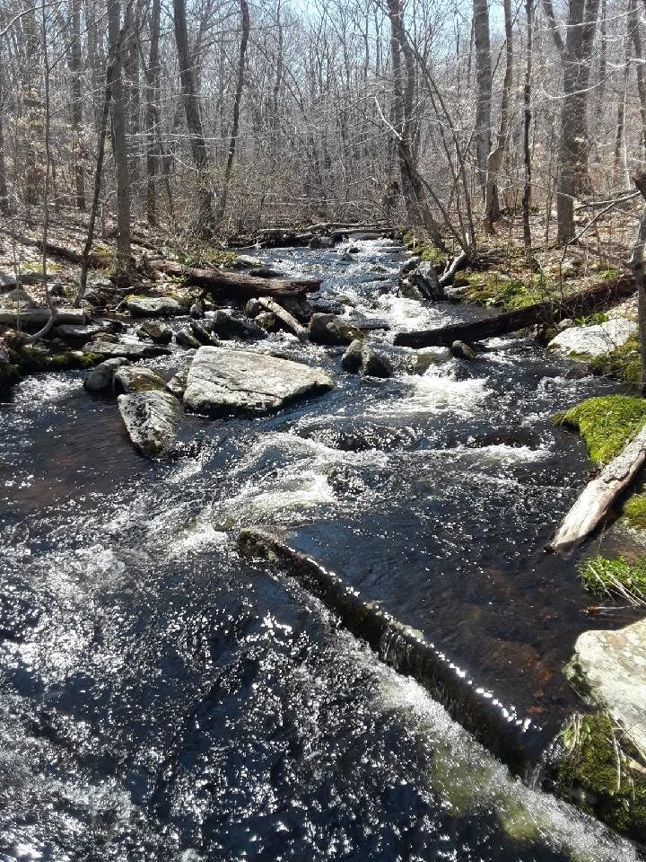 My BFF's Fav Rhode Island Spot For Reconnecting With Nature While Social Distancing