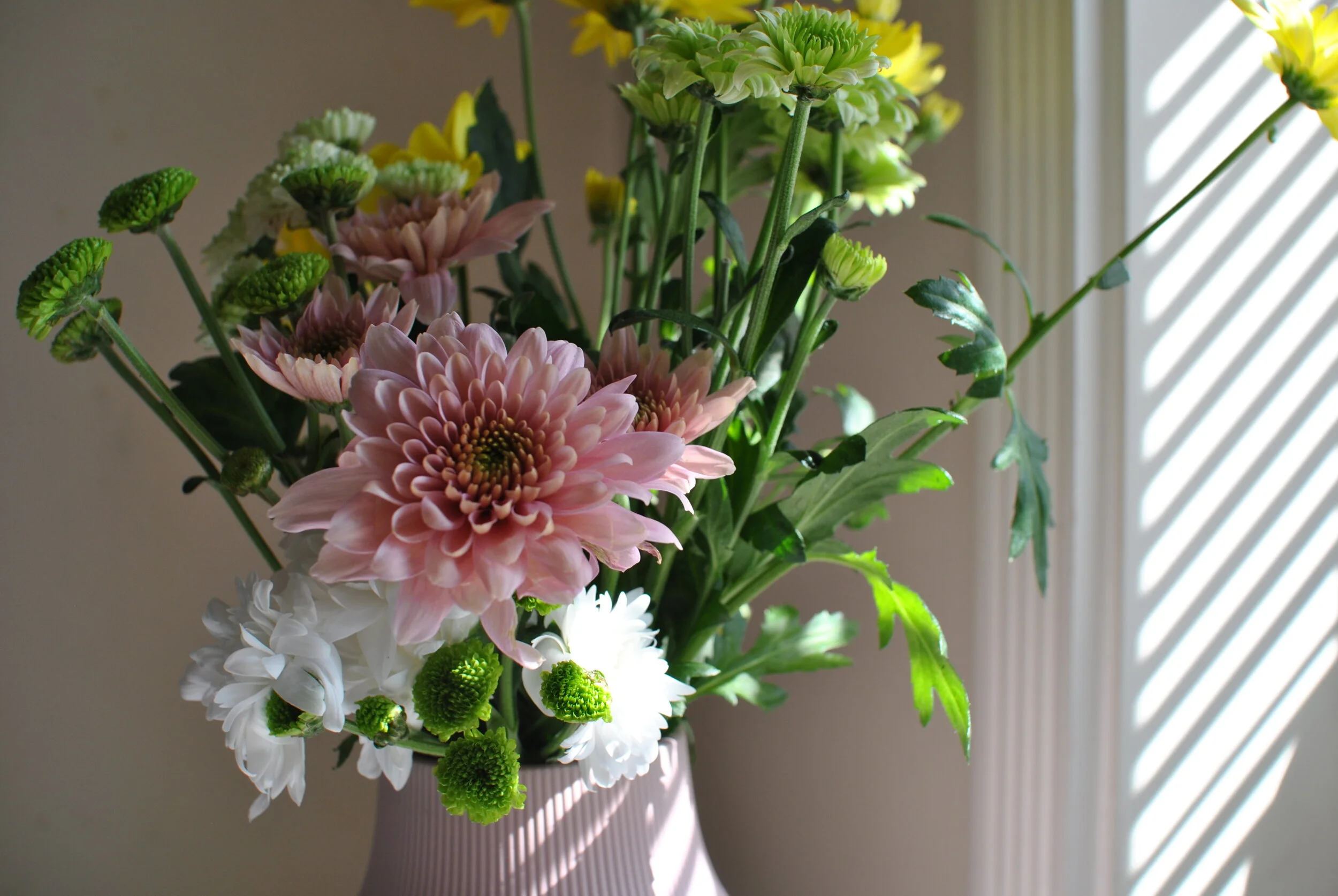 3 Florists &amp; 1 Flower Farm In RI Where You Can Curbside Pickup Bouquets For Mom's Day