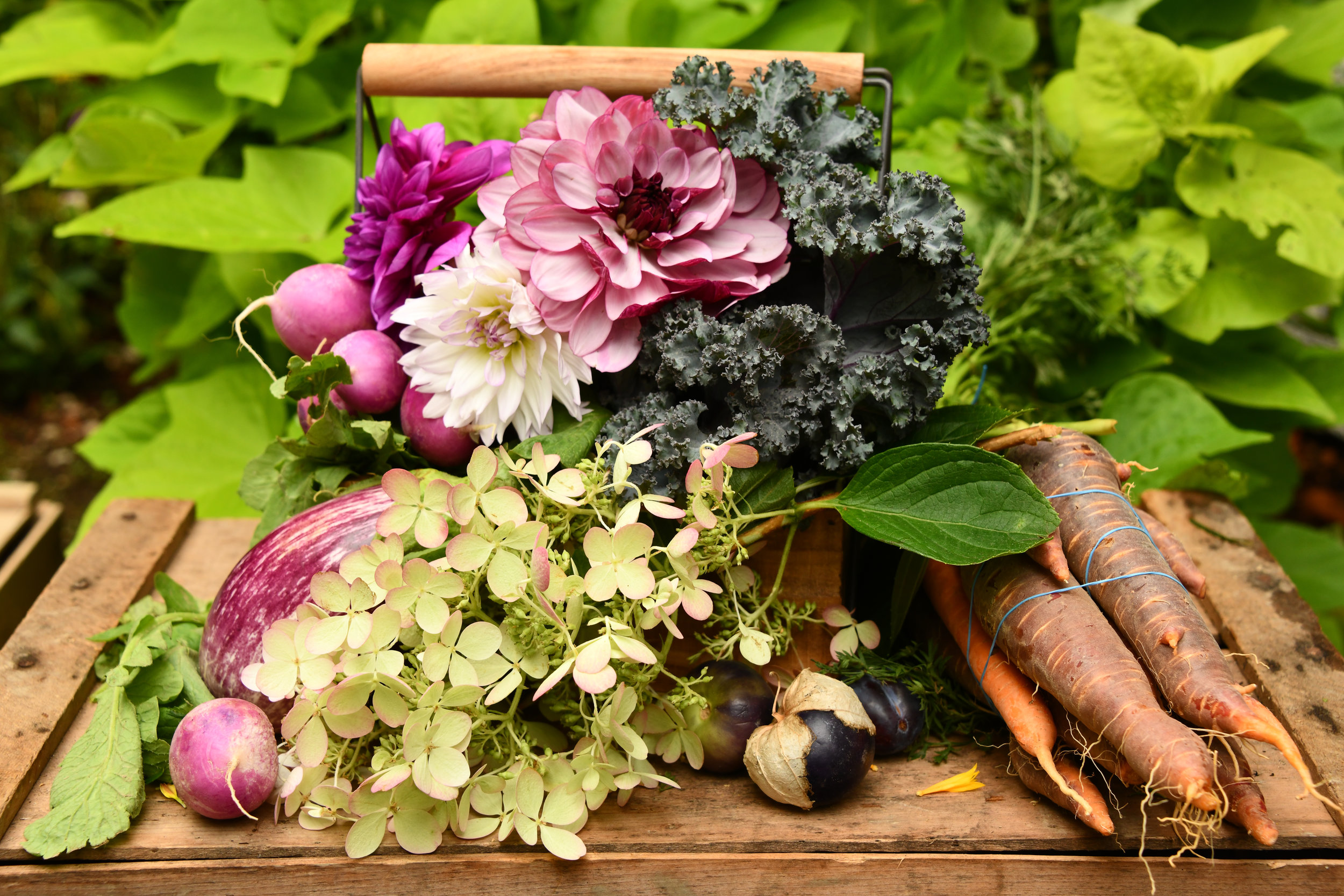 The Marvelous Outdoor Market In Cranston You'll Want To Motor Over To This Saturday