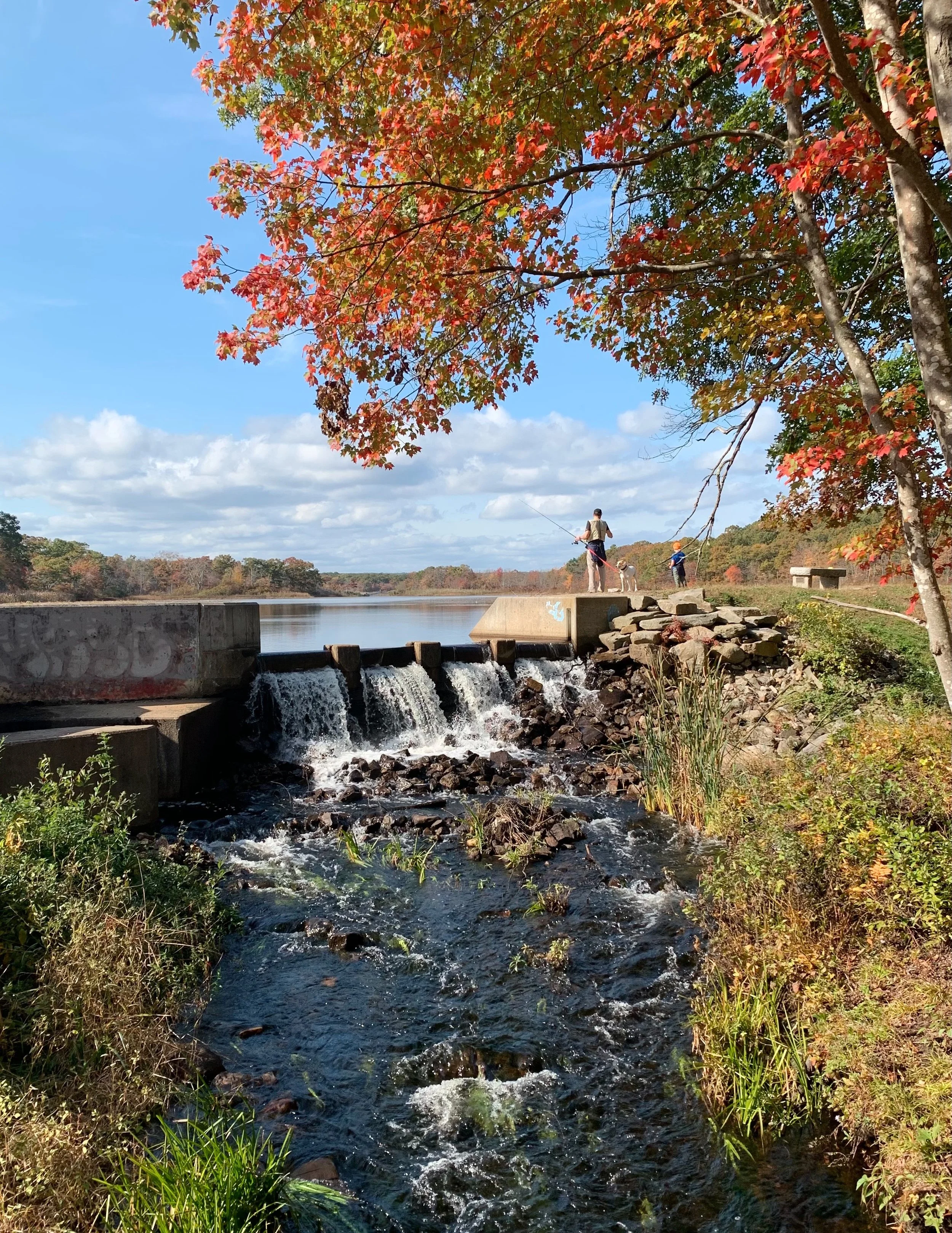 We Explored The Rhode Island Park That Used To Be A Town Dump 