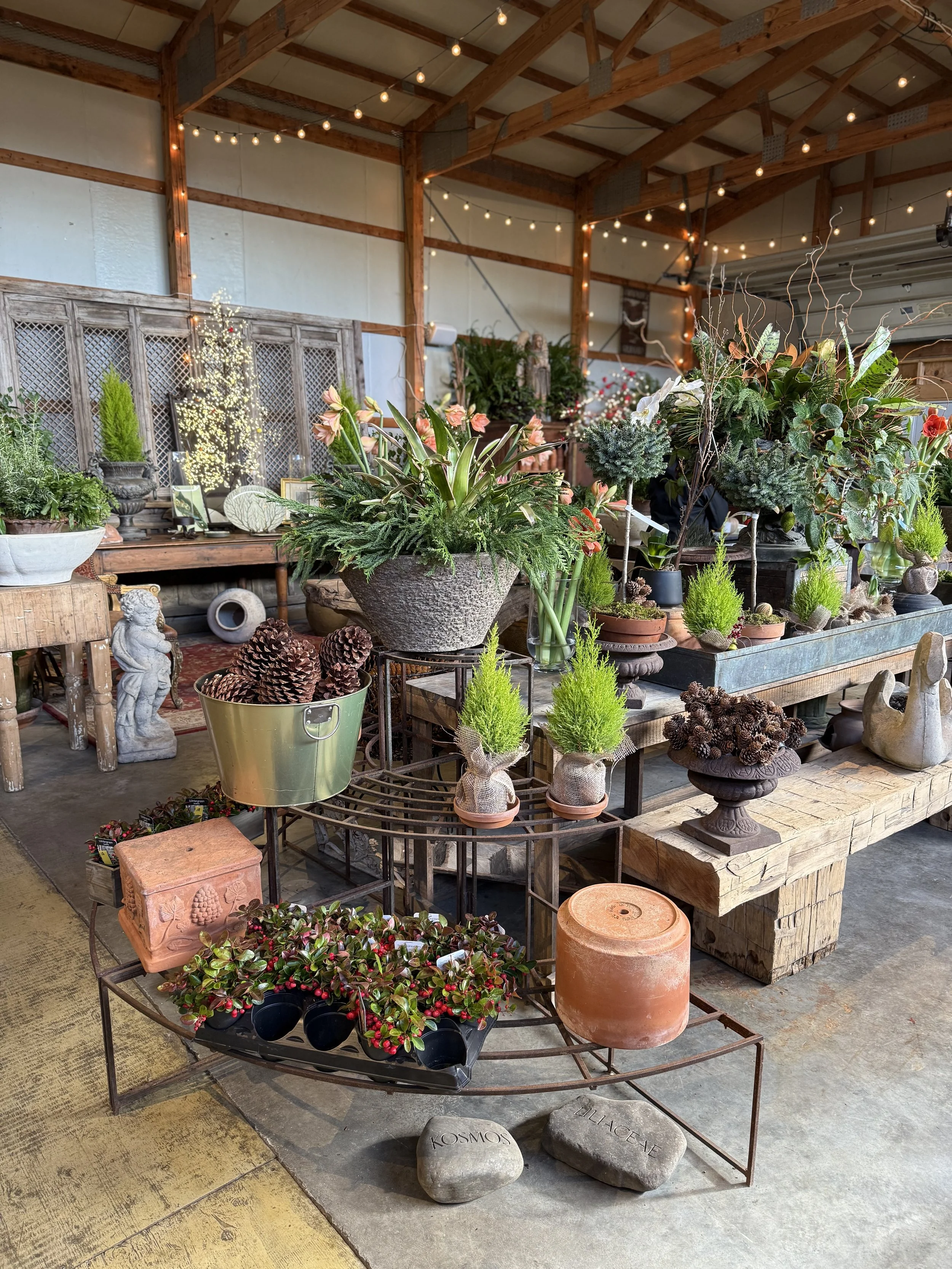 The Christmas Pop-Up In Rhode Island That's Right Out Of A Hallmark Movie