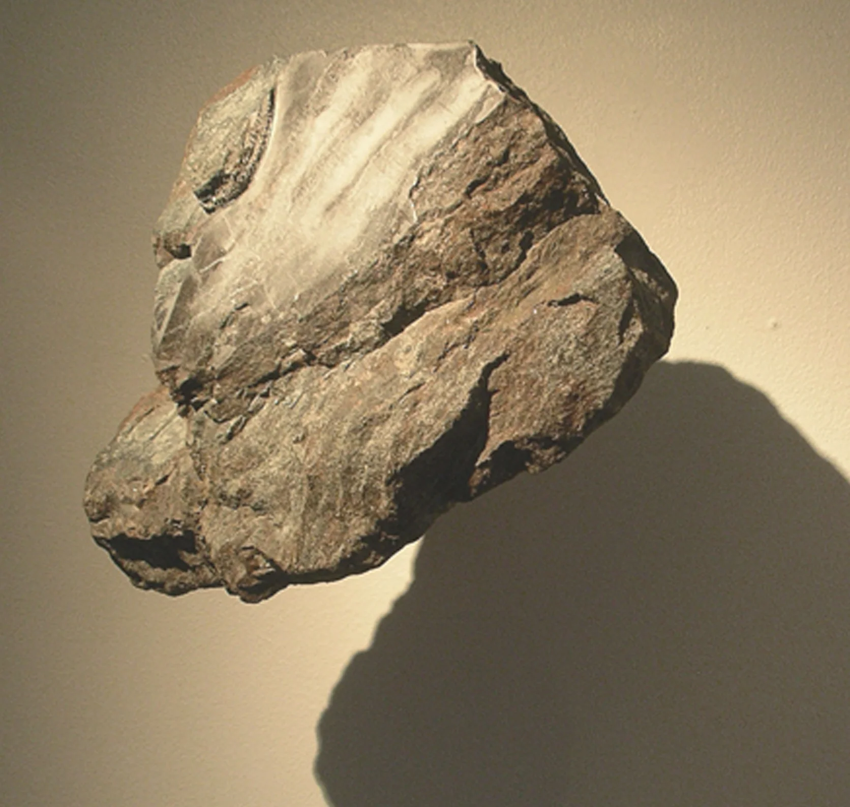 Päivikki Kallio: Encounters , 2009, detail of an installation
