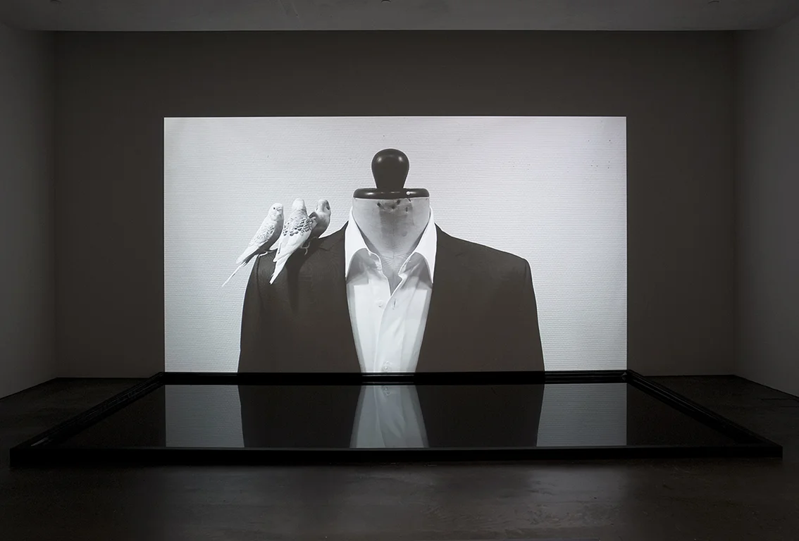 Saara Ekström: Man Before the Mirror, 2011. HD Video Installation.