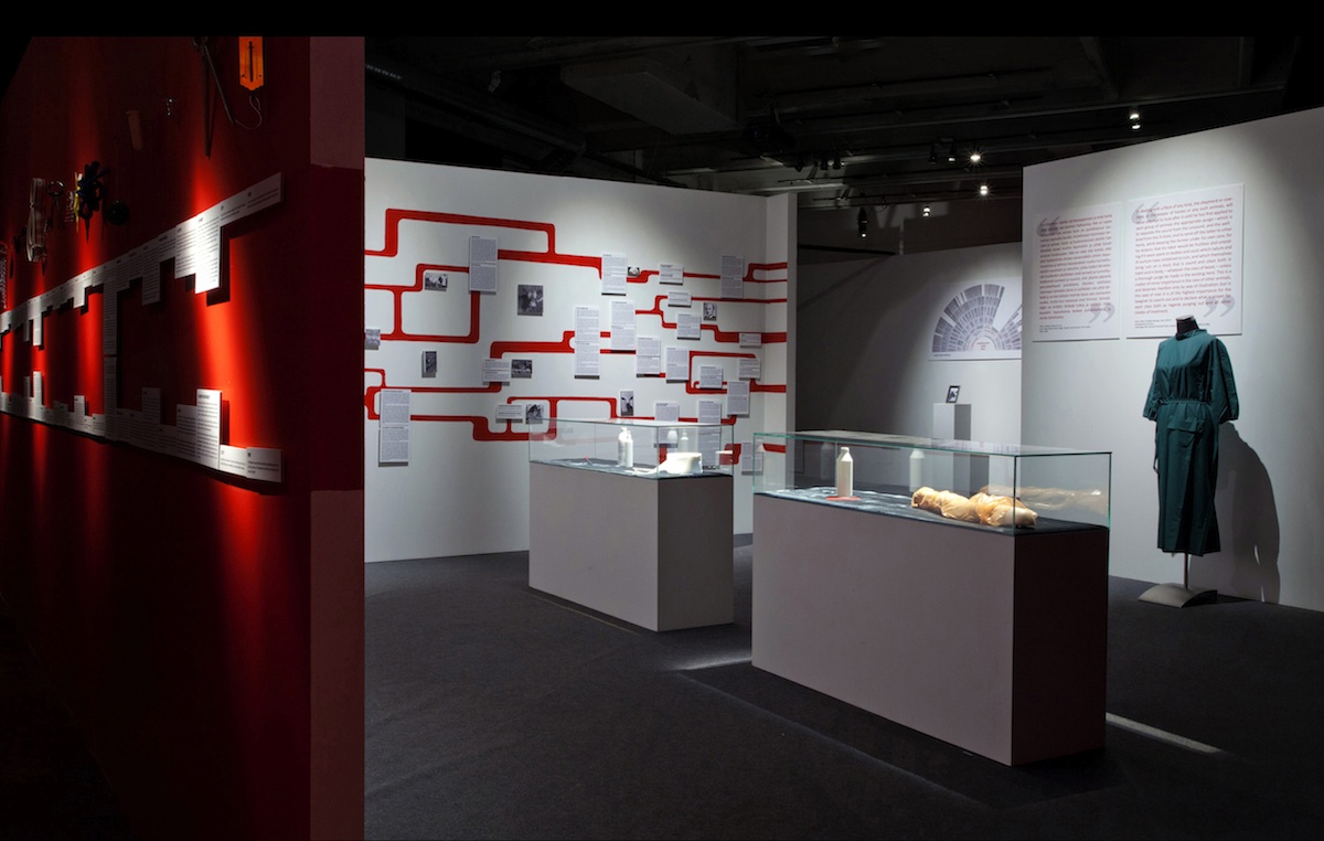The Museum of the History of Cattle opened up a view to human civilization and history from a non-human perspective. Photo: Terike Haapoja