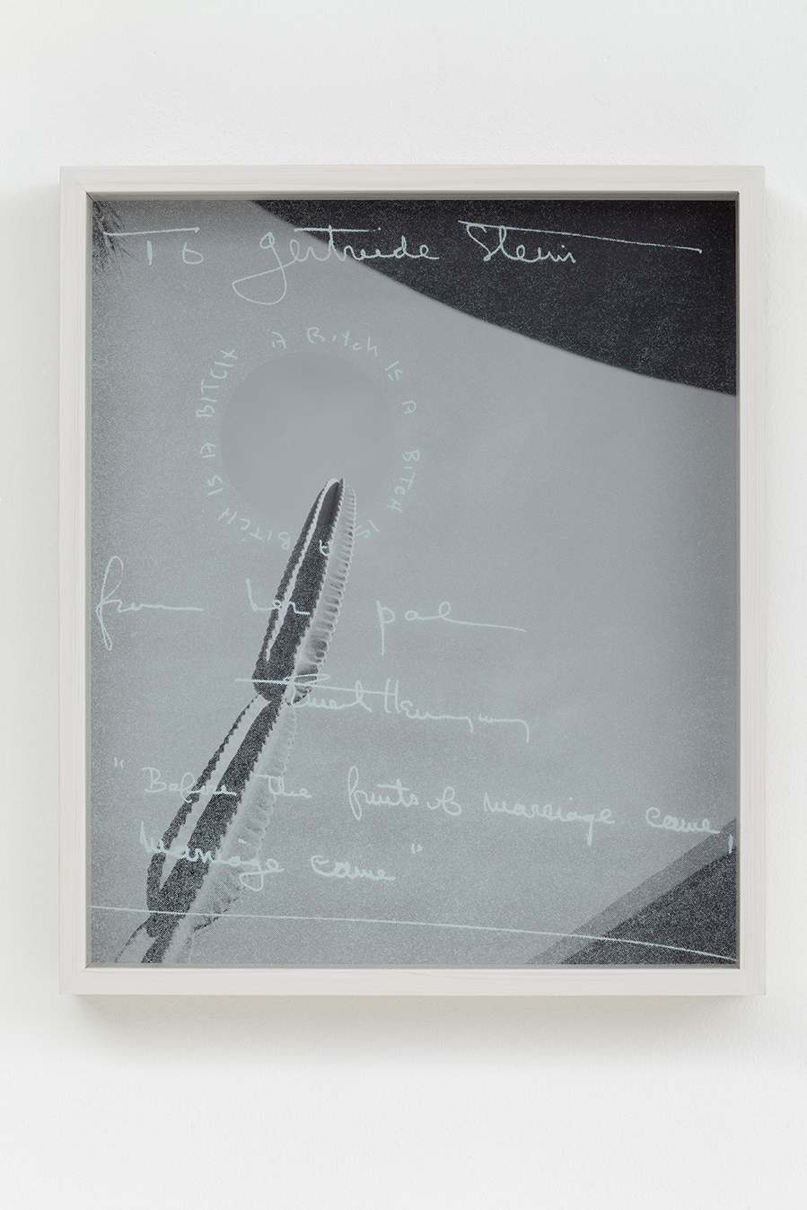 Heli Rekula: To Gertrude Stein, 2013, inkjet print on Baryte paper, silk screen on glass, framed, 40x34cm.