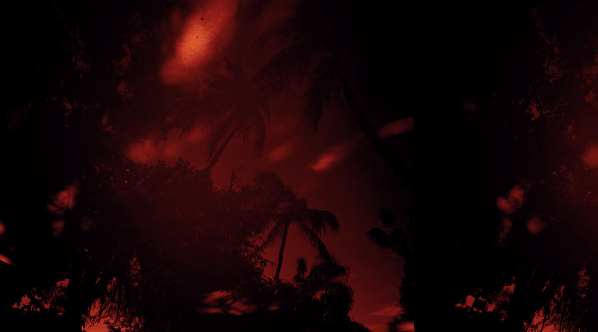 Heli Rekula: Garden 1 (Red), 2012, C-print, Diasec, framed, 100x180cm.