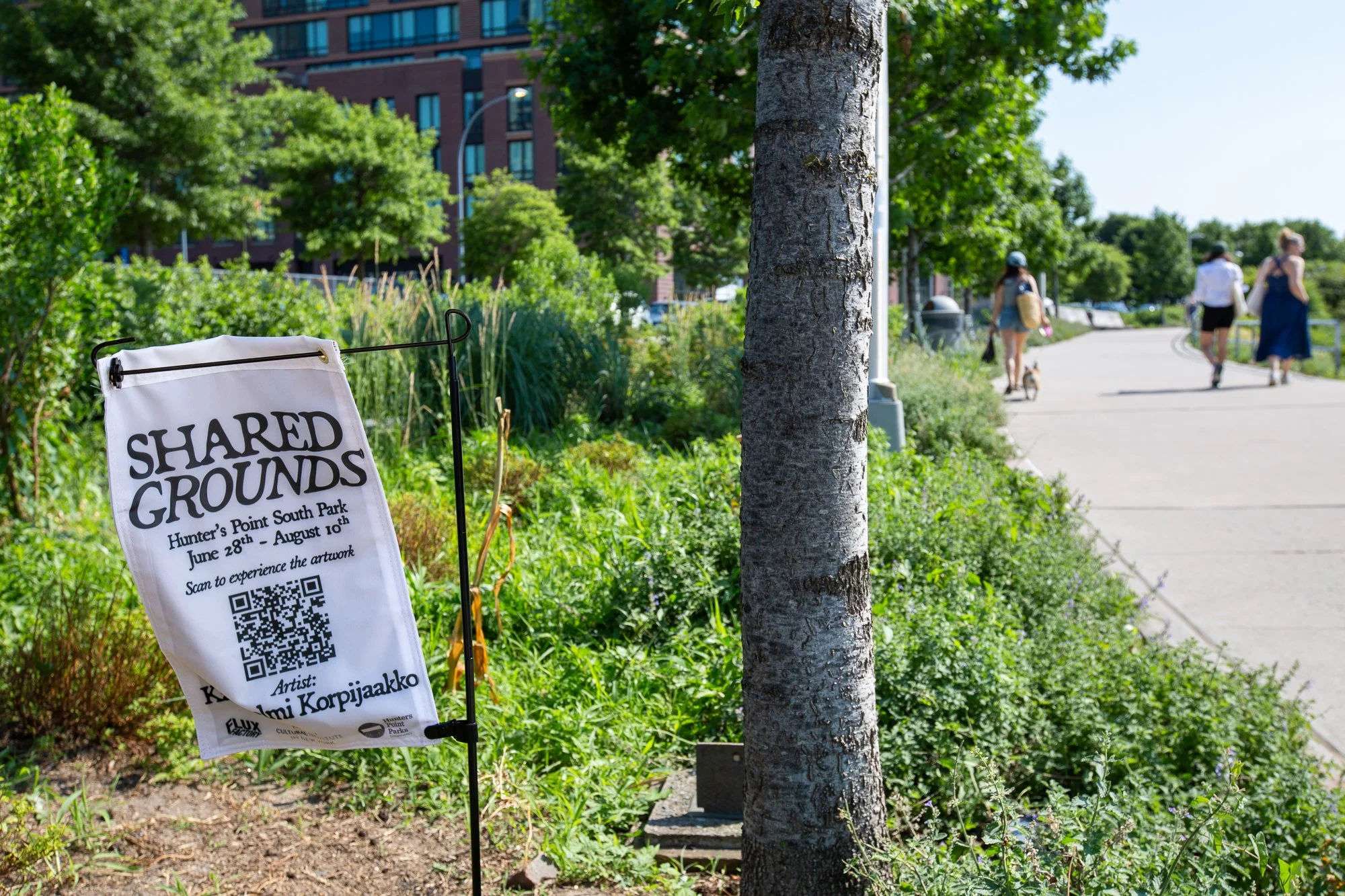 Shared Grounds - Preview -16.jpg